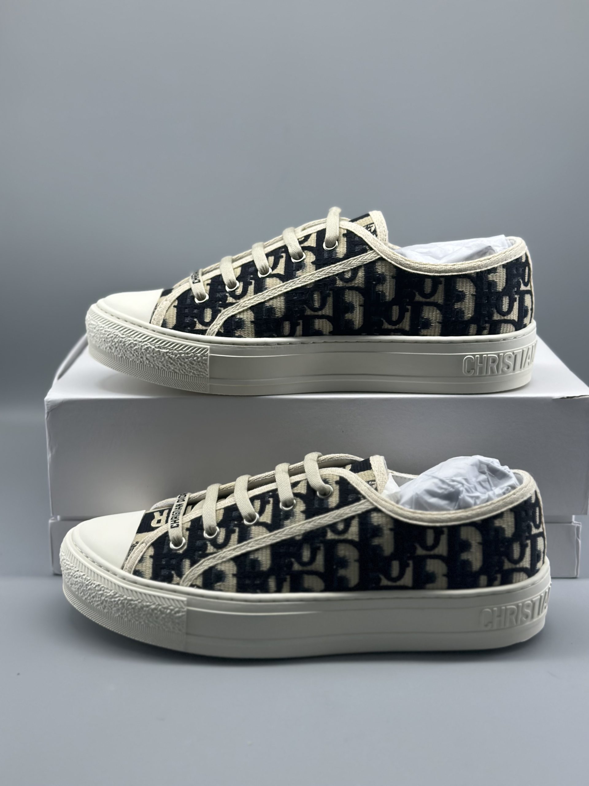 D*or Walk’N’Dior Oblique Navy Canvas