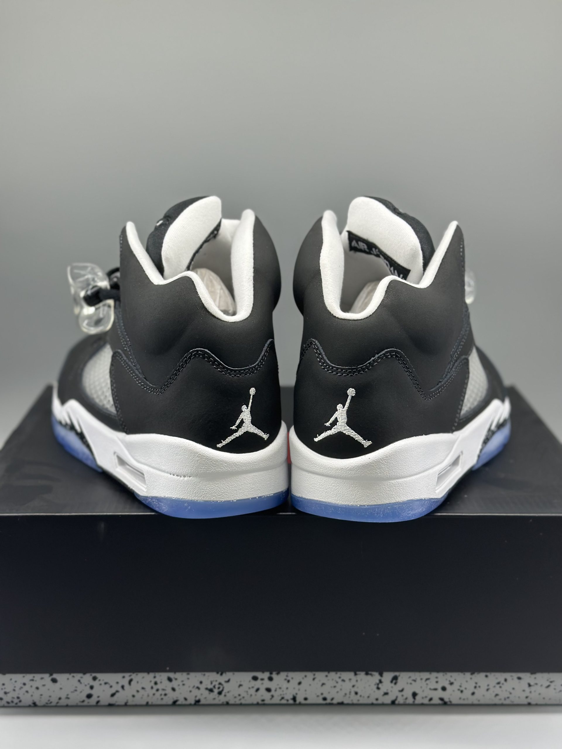 Jordan 5 Retro Moonlight (2021)