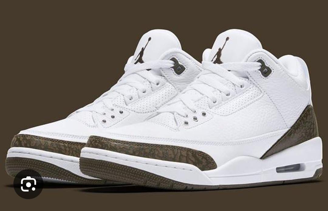 Jordan 3 Retro Mocha