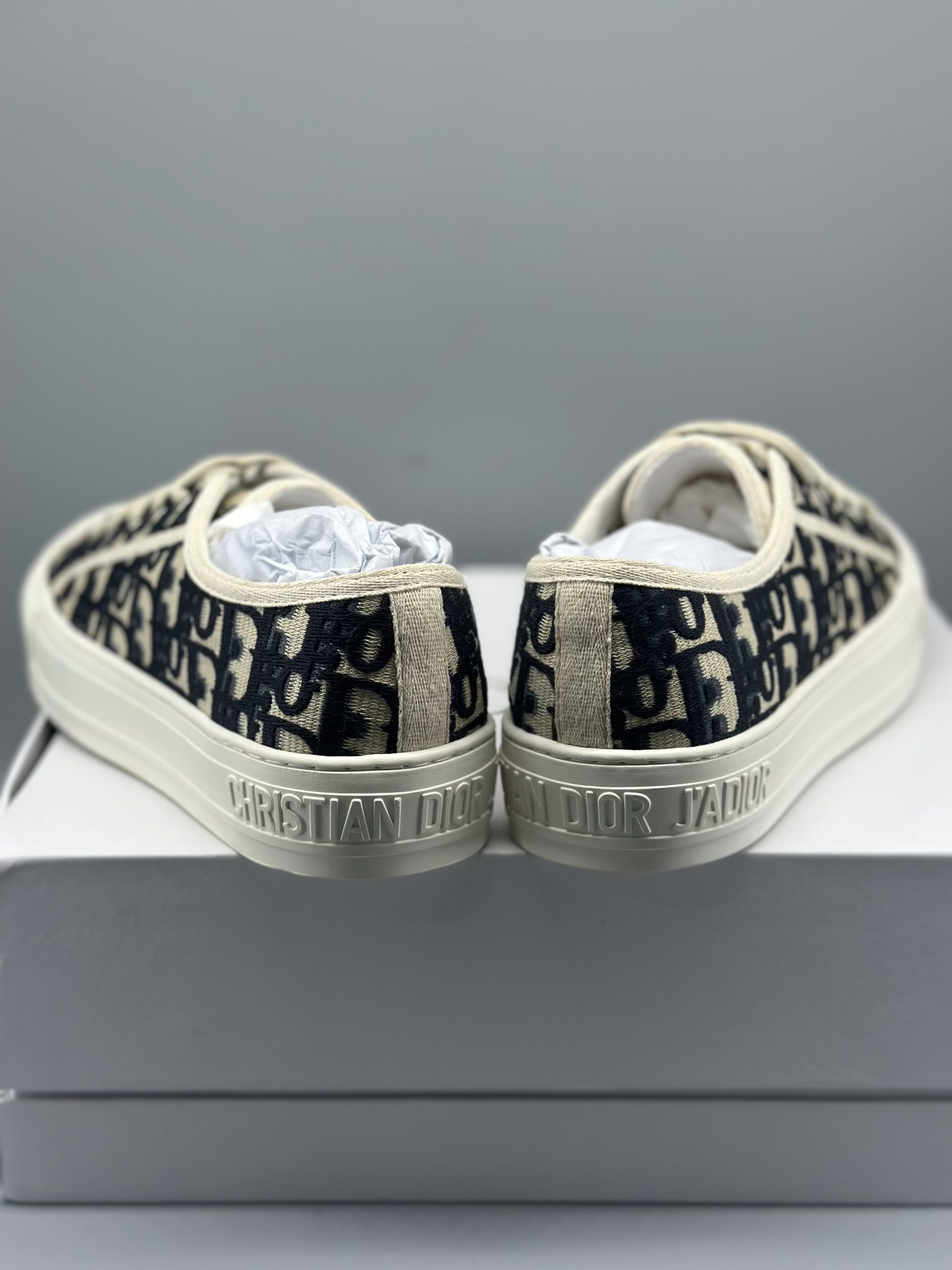 D*or Walk’N’Dior Oblique Navy Canvas