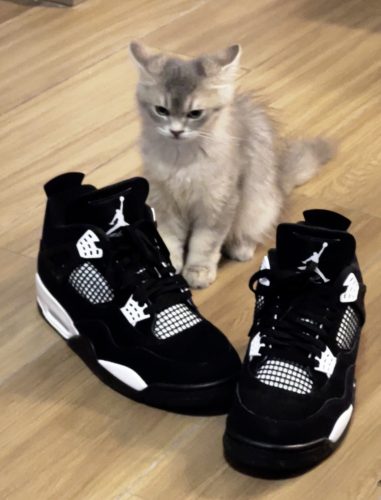 Air Jordan 4 Retro White Thunder FQ8138-001 photo review